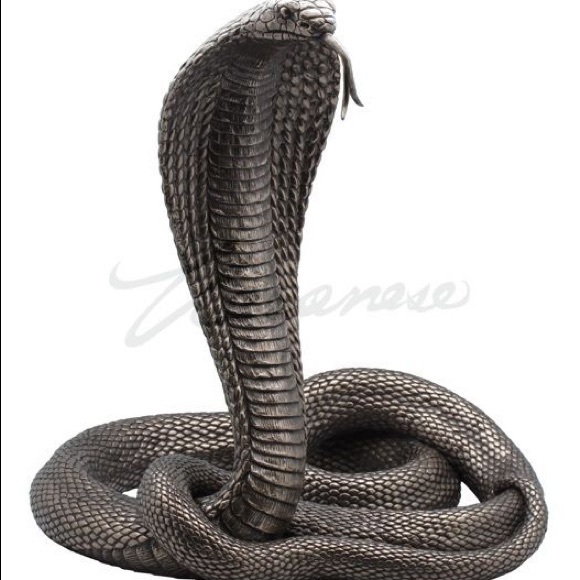 Meet your Posher, Chad - Picture 1 of 1